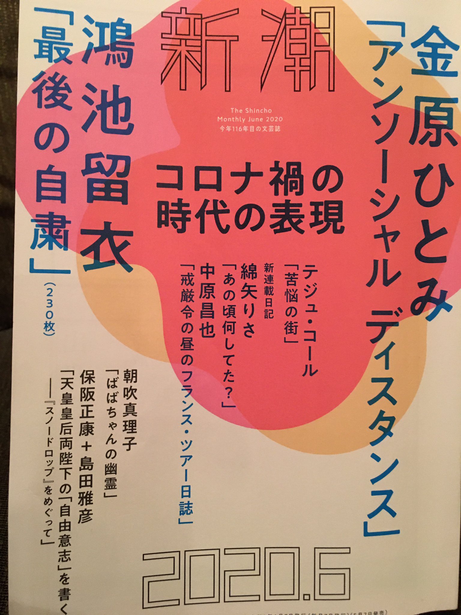 鴻巣友季子 シルヴィア プラス ベル ジャー 翻訳中 鴻池瑠衣の 最後の自粛 新潮掲載 やばいですね 緊密な文体に炸裂する脱力グルーヴ で 内容は 木になった亜紗 の今村夏子さんとか鴻池さんとか カジュアルにとち狂ってて好きだわ