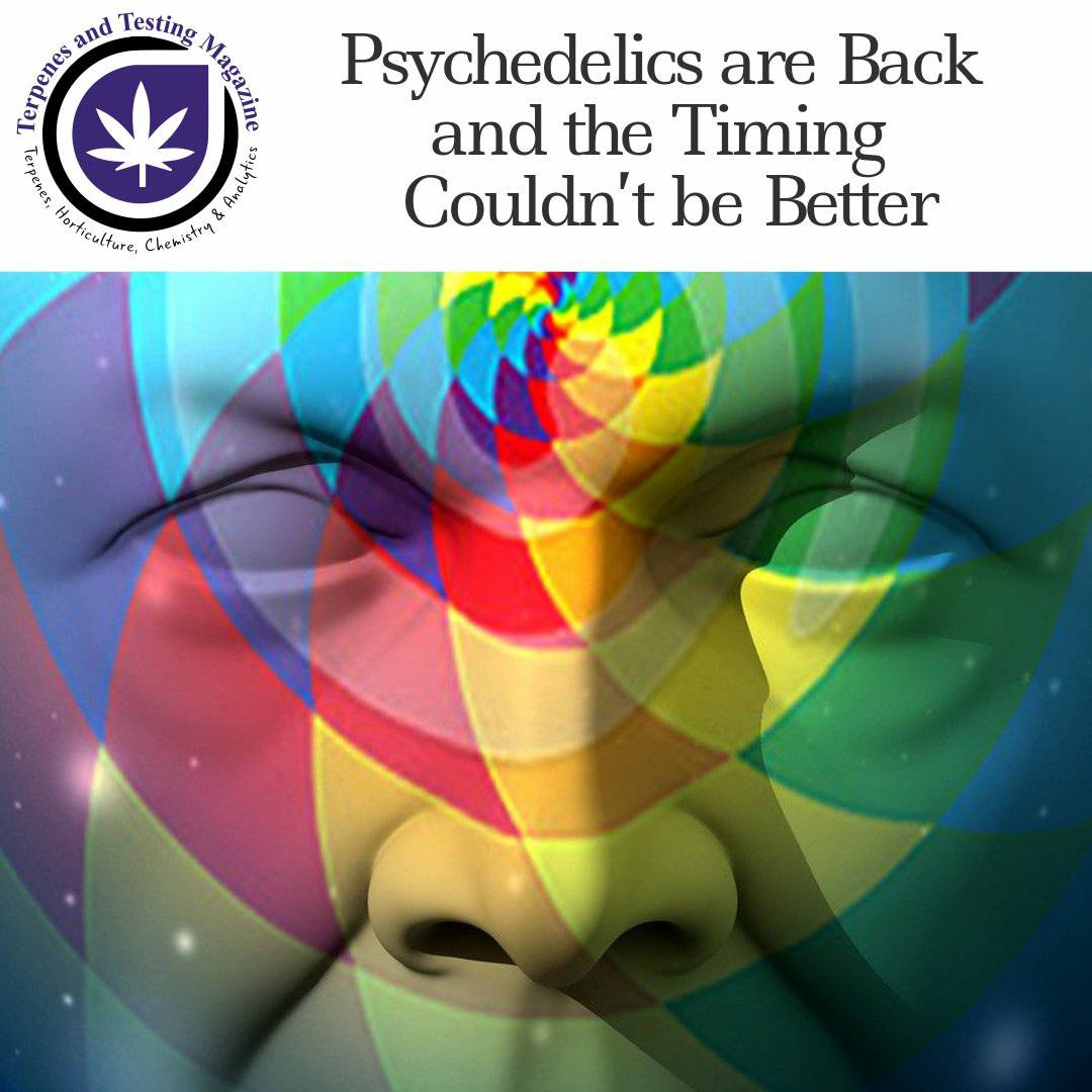 TerpsAndTestingMag tweet media