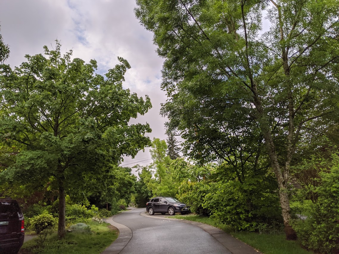 Dongho Chang tweet media