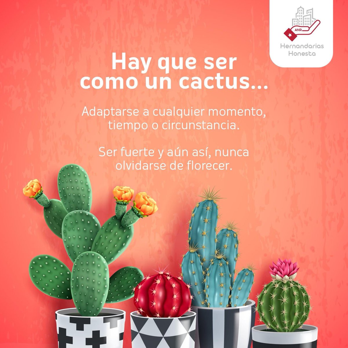 portillo_artur's tweet photo. Hay que reinventarse.
Hay que renovarse.
Hay que adaptarse.
#disciplinayfe https://t.co/iih1hNQ7dM