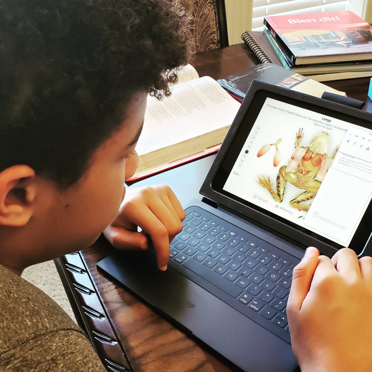 gotyourback300's tweet photo. Dissecting a frog via Distance Learning. #oakridgestrong #seventhgradescience @oakridgeowls @OakridgeMS1 https://t.co/CUgVRynKfw