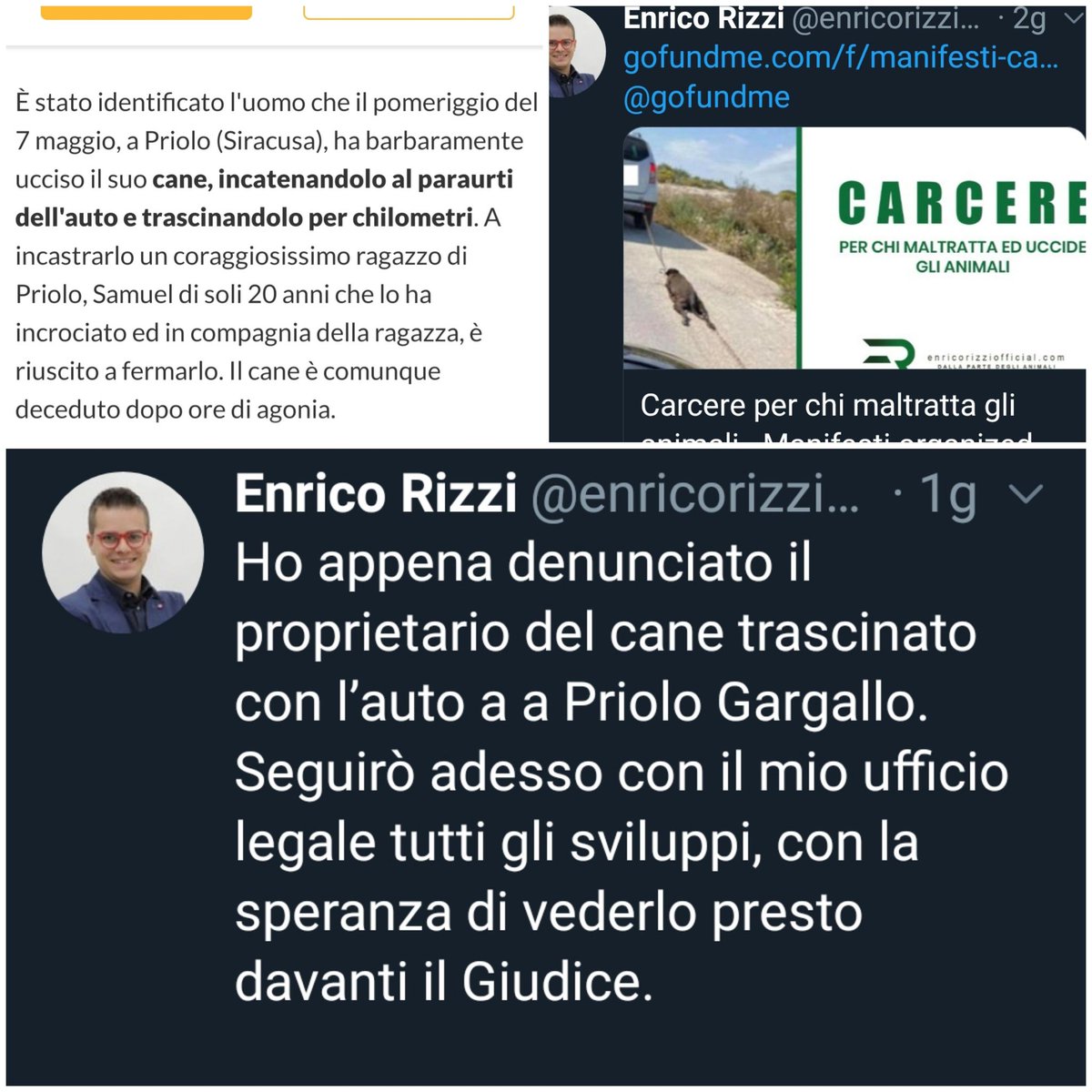 CARCERE PER CHI MALTRATTA GLI ANIMALI