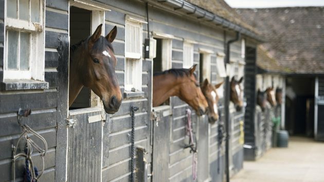 horseandhound's tweet photo. Livery contracts are crucial to protect horses and people *H&amp;H Plus* https://t.co/YagBbVUXJM https://t.co/O0kms1nJjn