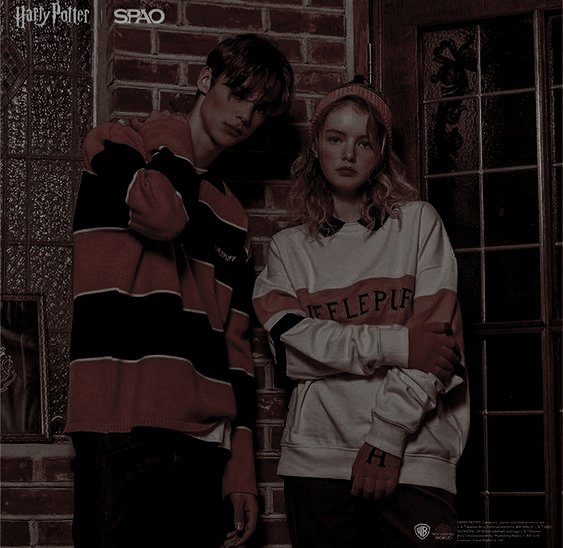 _moodelicate's tweet image. ◜✾◞  𝘏𝘰𝘨𝘸𝘢𝘳𝘵𝘴, partners in  𝒄̶𝒓̶𝒊̶𝒎̶𝒆̶ 🄷ufflepuff.