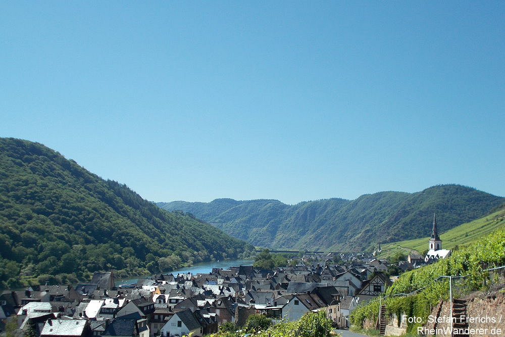 RheinWanderer's tweet photo. #Wandern an der #Mosel: An diesem #Wochenende machen wir eine #Wanderung 🚶♀️🚶♂️ auf dem #Moselsteig. Es geht u.a. von #Ediger-#Eller (Foto) über den #Calmont ⛰️ und #Bremm nach #Neef. Mehr dazu bald hier: https://t.co/MniSbqsIiL #EdigerEller #RLPerleben https://t.co/5Xv1wCA9e5