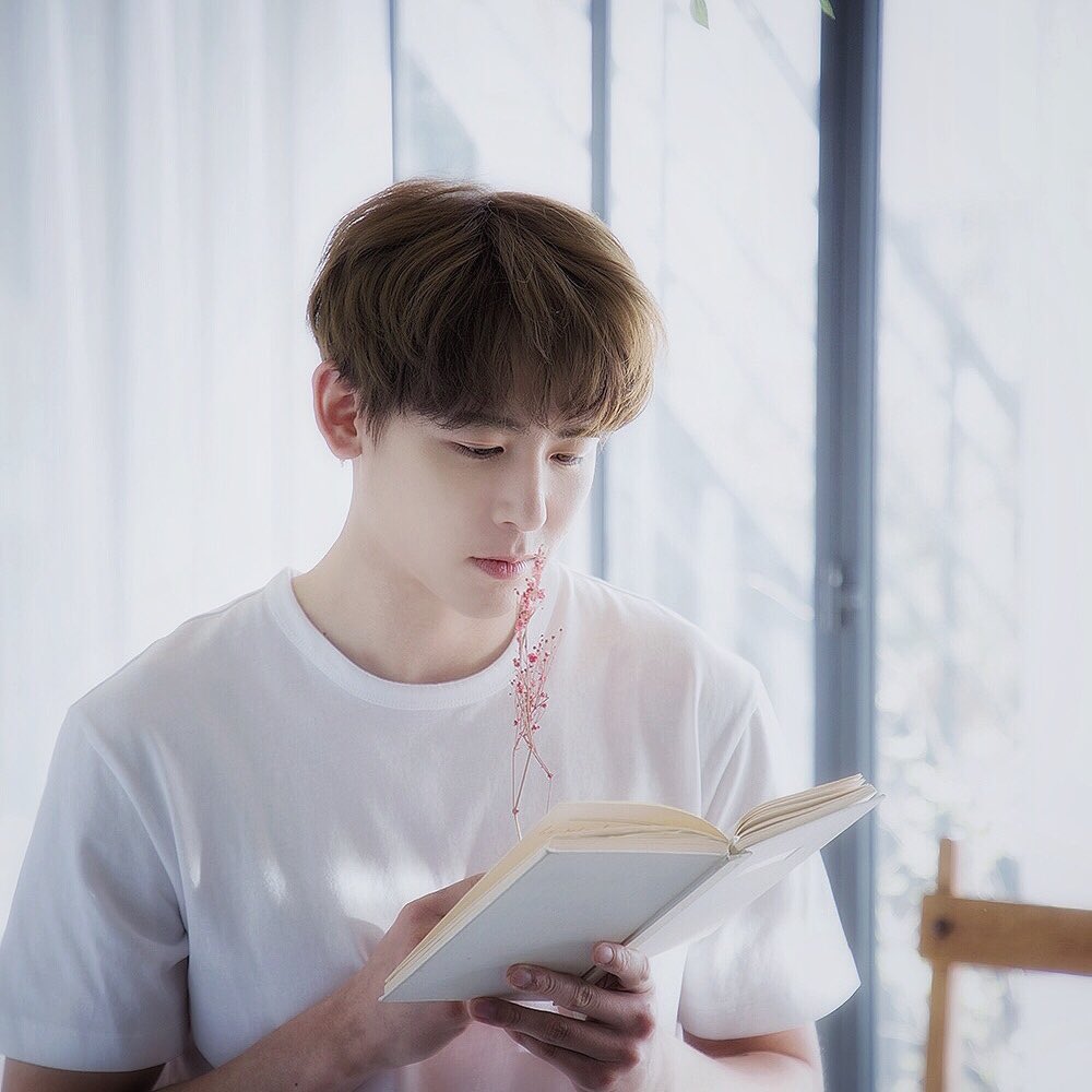📖☂️ ⁰ ⁶ k h u n n i e ² ⁴ 🐨🦄 tweet media