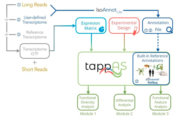 tappAS: from <a href="/dlfuente_lorena/">Lorena de la Fuente</a>, <a href="/anaconesa/">AnaConesa</a> and co, for isoform-centered functional analysis of differential transcript usage. It is demonstrated on long and short read data from two different mouse neural cell types  genomebiology.biomedcentral.com/articles/10.11…