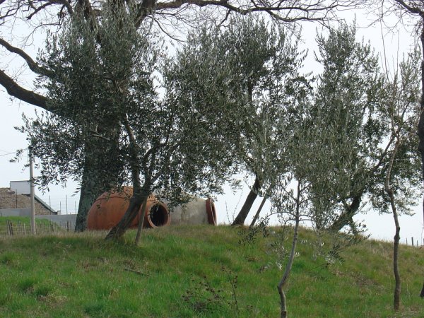 AisVeneto's tweet photo. #OrangeWine nel prossimo numero di #VinetiaMagazine: una piccola anticipazione!

#weais
#aisveneto

 https://t.co/HYG4lB6uNZ https://t.co/0K2RzEj8EQ
