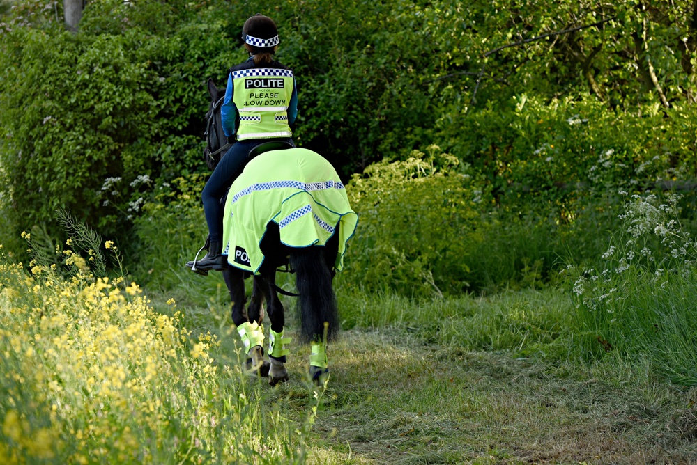 Cetra studio Wirral tweet media