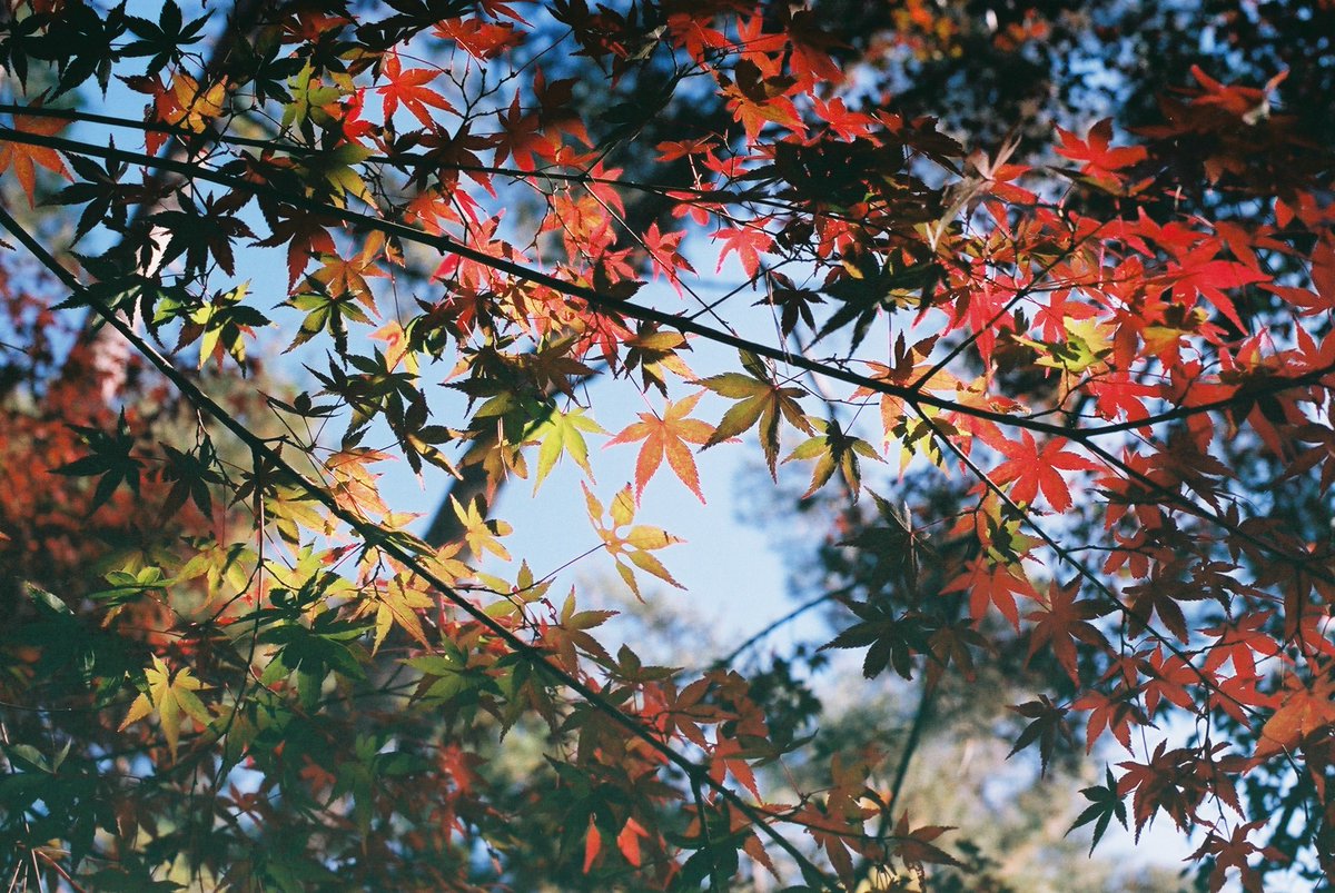 ひろひさ tweet media