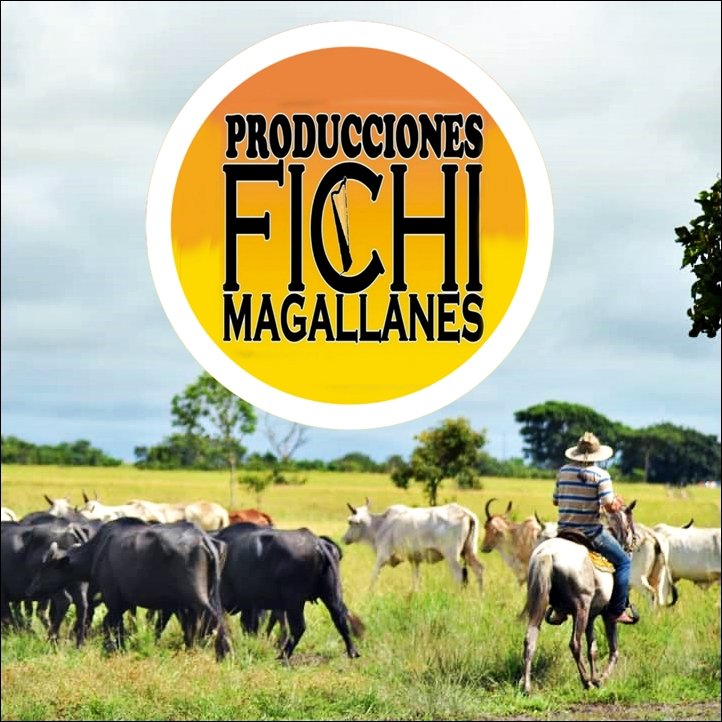 @ProduccionesFichi (@fichimagallanes) on Twitter photo 
