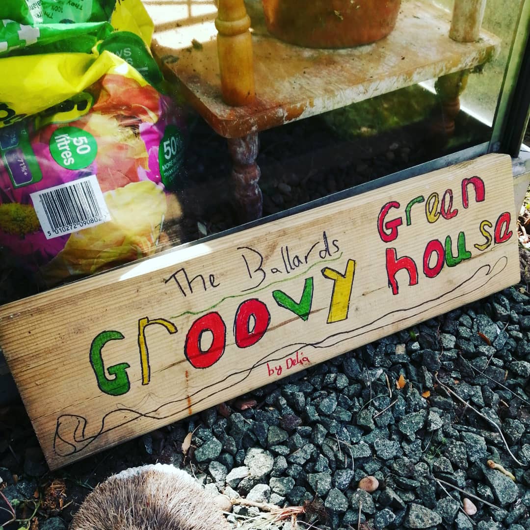 themrsjackbauer's tweet photo. As our down time after working hard at schooling we brightened up the green house with some homemade signs @washingborough @wash_lks2 @wash_uks2 https://t.co/sCylHh9XKF