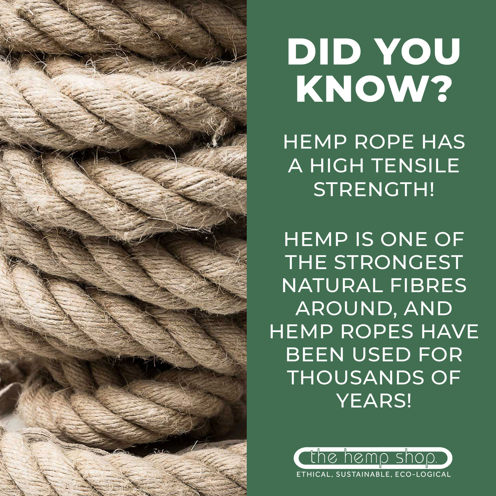 The Hemp Shop on X: Hemp rope has been used for thousands of years due to  the relative ease of growing hemp, and the fact that it's one of nature's  strongest fibres. #