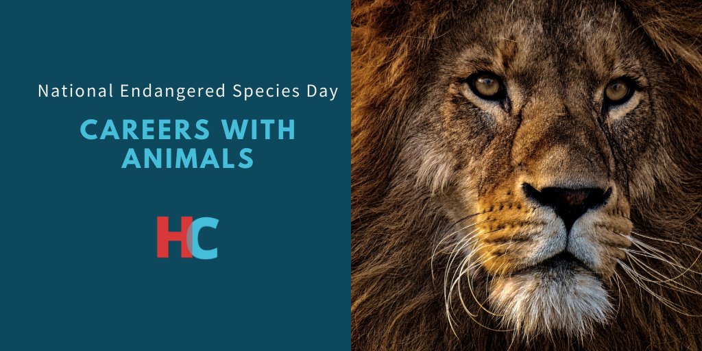 hackcollege's tweet image. A love for animals may be what sparks one’s interest in pursing an animal career, but it won’t be enough to enter the profession. Find out where animal lovers can successfully land a job in the animal kingdom: bit.ly/3b9mBCP 
#NationalEndangeredSpeciesDay #HackCollege