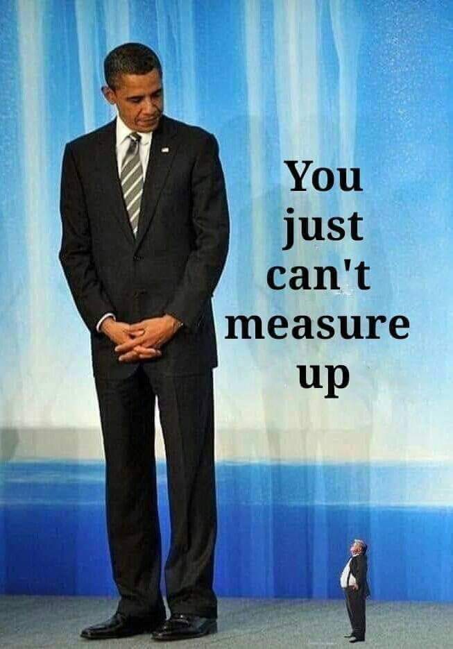 TonyTyger143's tweet image. Such an appropriate picture. Jackasss @realDonaldTrump is so intimidated by @BarackObama tRUMP's spent his whole time in office trying to prove to his lemmings he's not. #notmypresident #liarinchief #traiter #murderer #morbidlyobese45 #RealPresidentObama #WeLoveObama #VoteBlue
