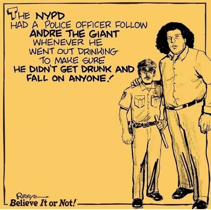 Happy Birthday to the late great Andre The Giant would of been i believe 73 today 