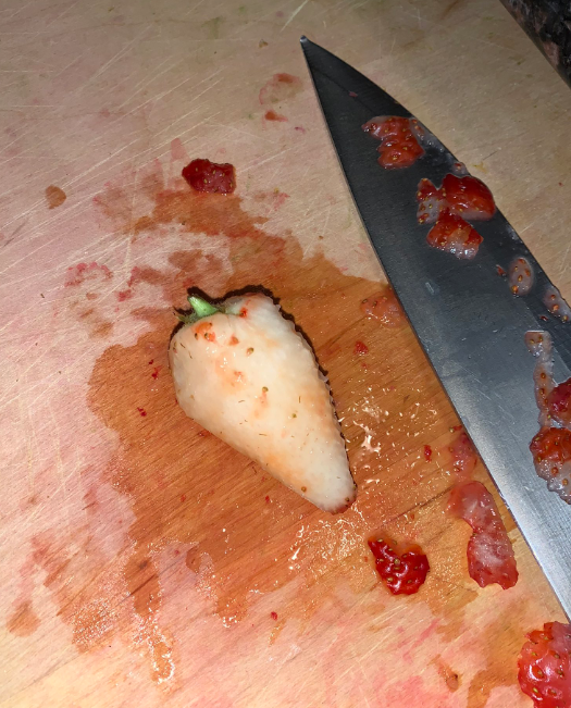 evaftpizzx's tweet photo. una duda que me ha salido

vosotros cómo os coméis las fresas?

RT: peladas
FAV: sin pelar https://t.co/GnHNrjxYgs