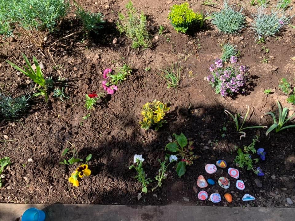 Livewell Southwest tweet media