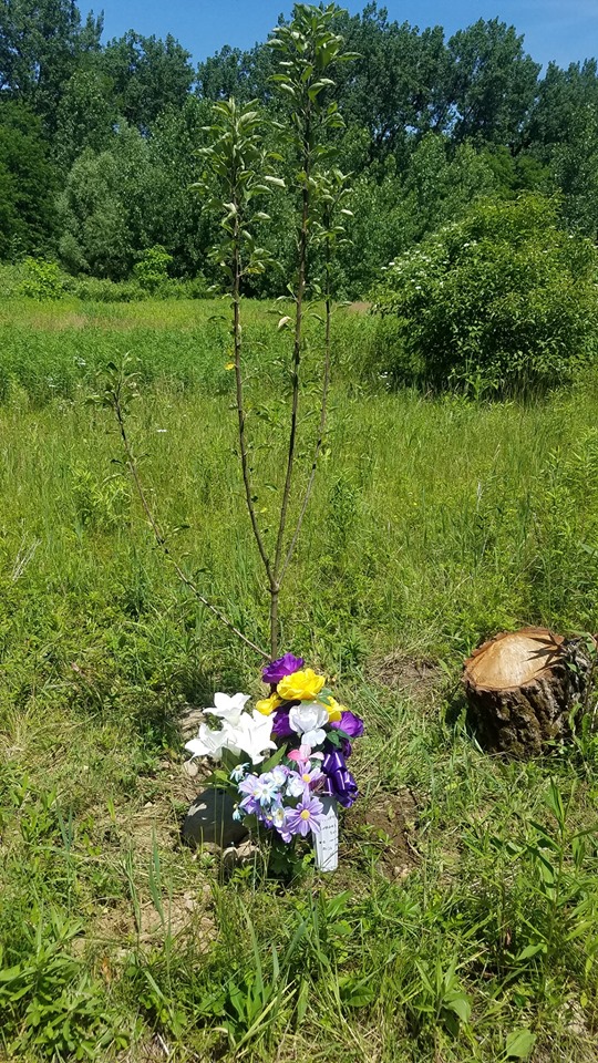 Joe as a child here in upstate NY, it was a family tradition to go apple picking.Coupled with Danny's love of nature he continued this tradition through his life.He wished to be returned to nature so his ashes are planted with this apple tree in his favorite childhood park