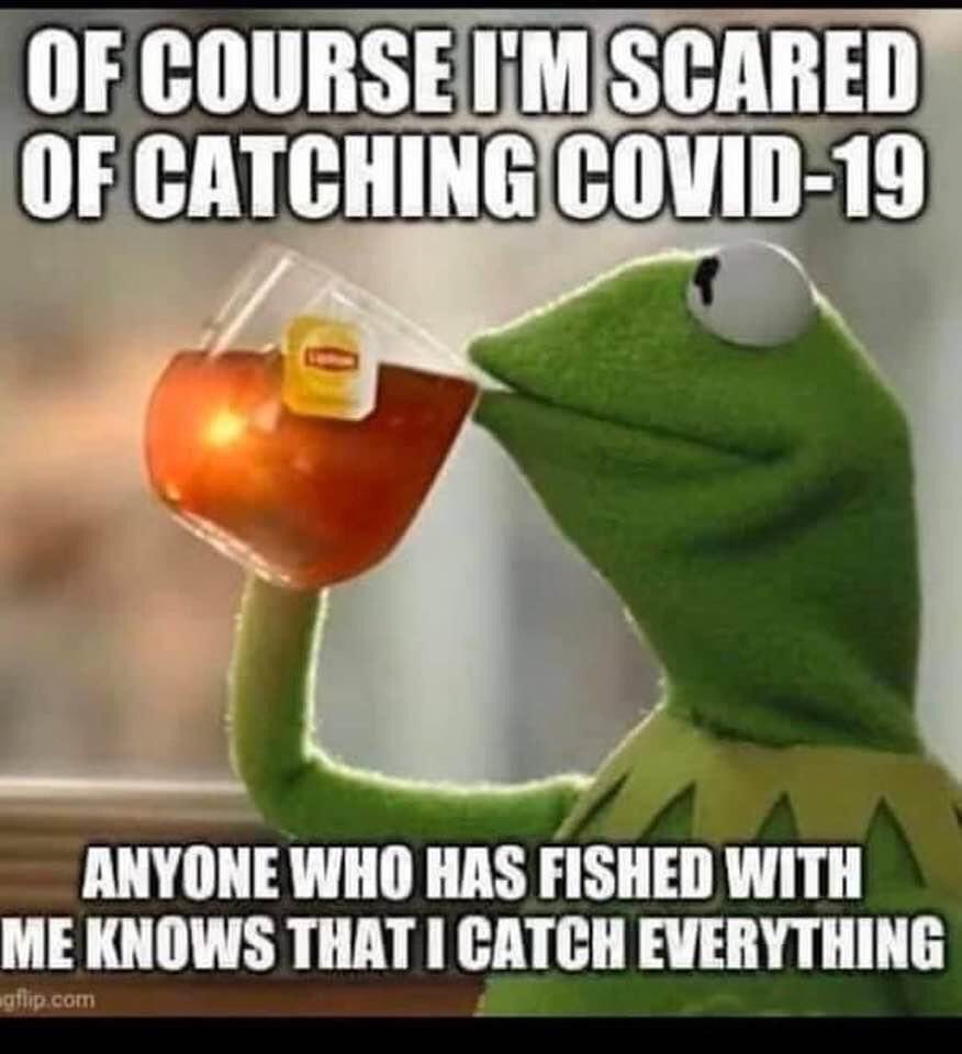 Dean haughey tweet media