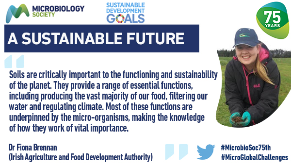 #Microbiology and #SoilHealth are crucial in achieving the #UN #SDGs. Check out our new #SoilHealth policy explainer to find out more. microb.io/2yWaKLd #MicroGlobalChallenges #MicrobioSoc75th