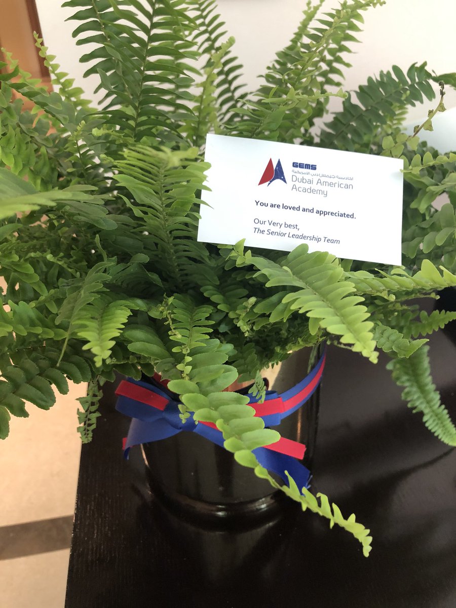 Lama Rawdah tweet media