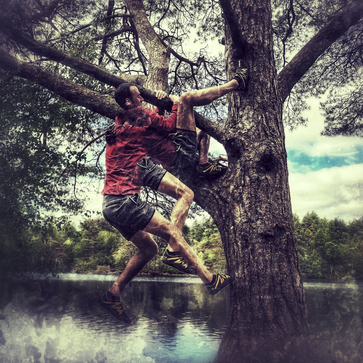 blurred_edge_'s tweet photo. You have power over your mind, not outside events. Realise this, and you will find strength #MarcusAurelius #MoveHappy #HappyPlace #CaptureMovement #CelebrateMovement #NutritiousMovement #MovNat #MiniMovementAdventure https://t.co/MjT3DmsXWu