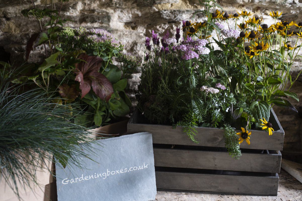 ⭐️Exhibitor Spotlight⭐️ @BoxesGardening
 What blooming lovely news to hear that GardeningBoxes have partially reopened! 🌼
gardeningboxes.co.uk
