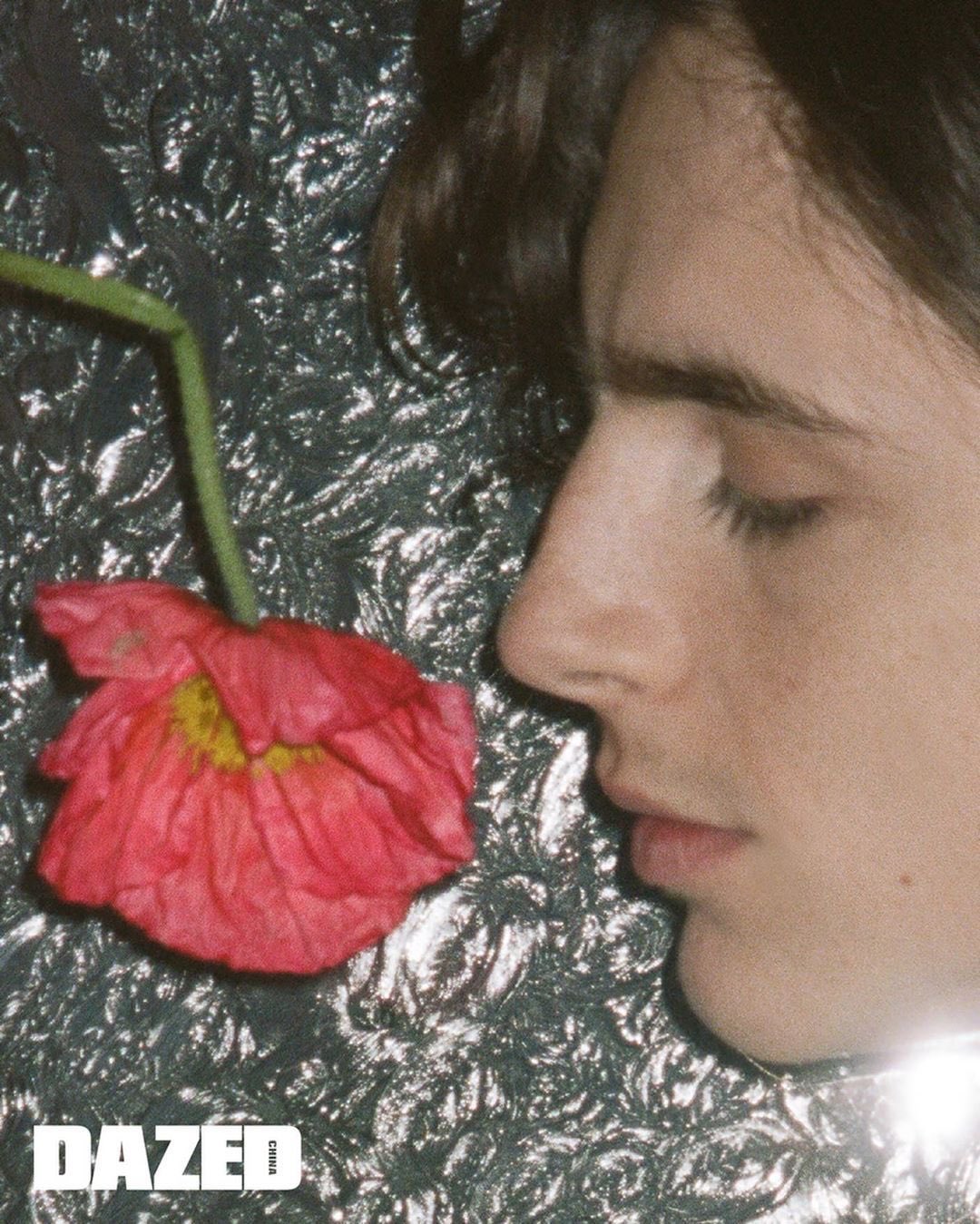 musetta - timothée chalamet daily on X: the way timothée