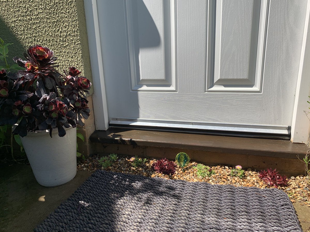 Amanda_Fallan's tweet photo. More succulent planting @GroundControlGC #GCFlowerShow.  Using the smallest space to create. https://t.co/O9X6dTNorw