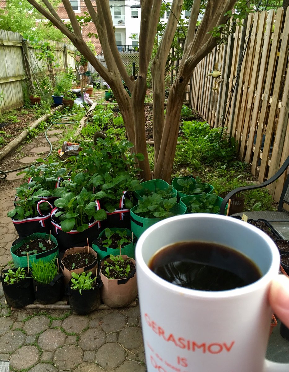 I am enjoying this delicious masterpiece as we speak, sitting out in the early morning garden, listening to nice birds try to keep the nasty nest-attacking birds away. So stick with me as we explore the wonders of Swedish Egg Coffee.Yes. Egg coffee. /2