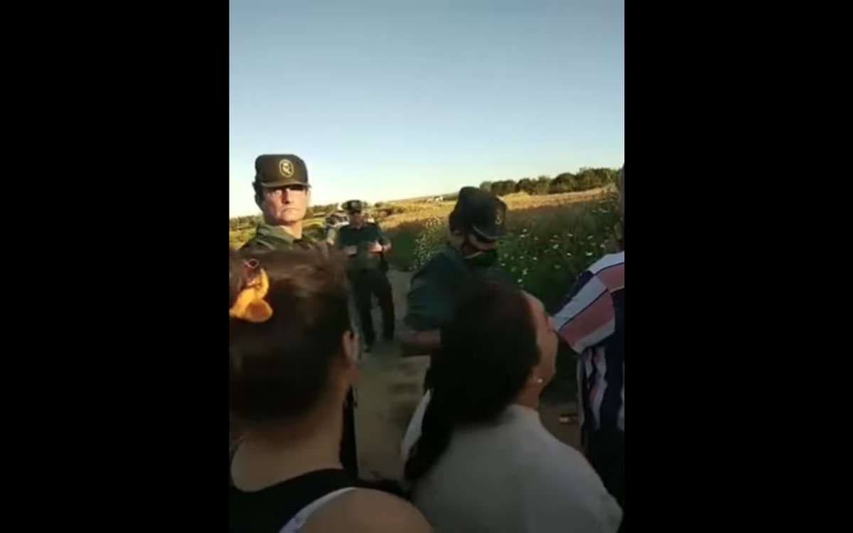 Pterodáctilo tweet media