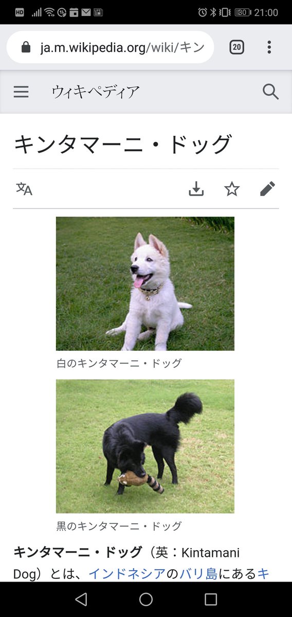 Sui76ers 金玉みたいな名前の犬いてワロタ Sui76ers 金玉みたいな名前の犬いてワロタ