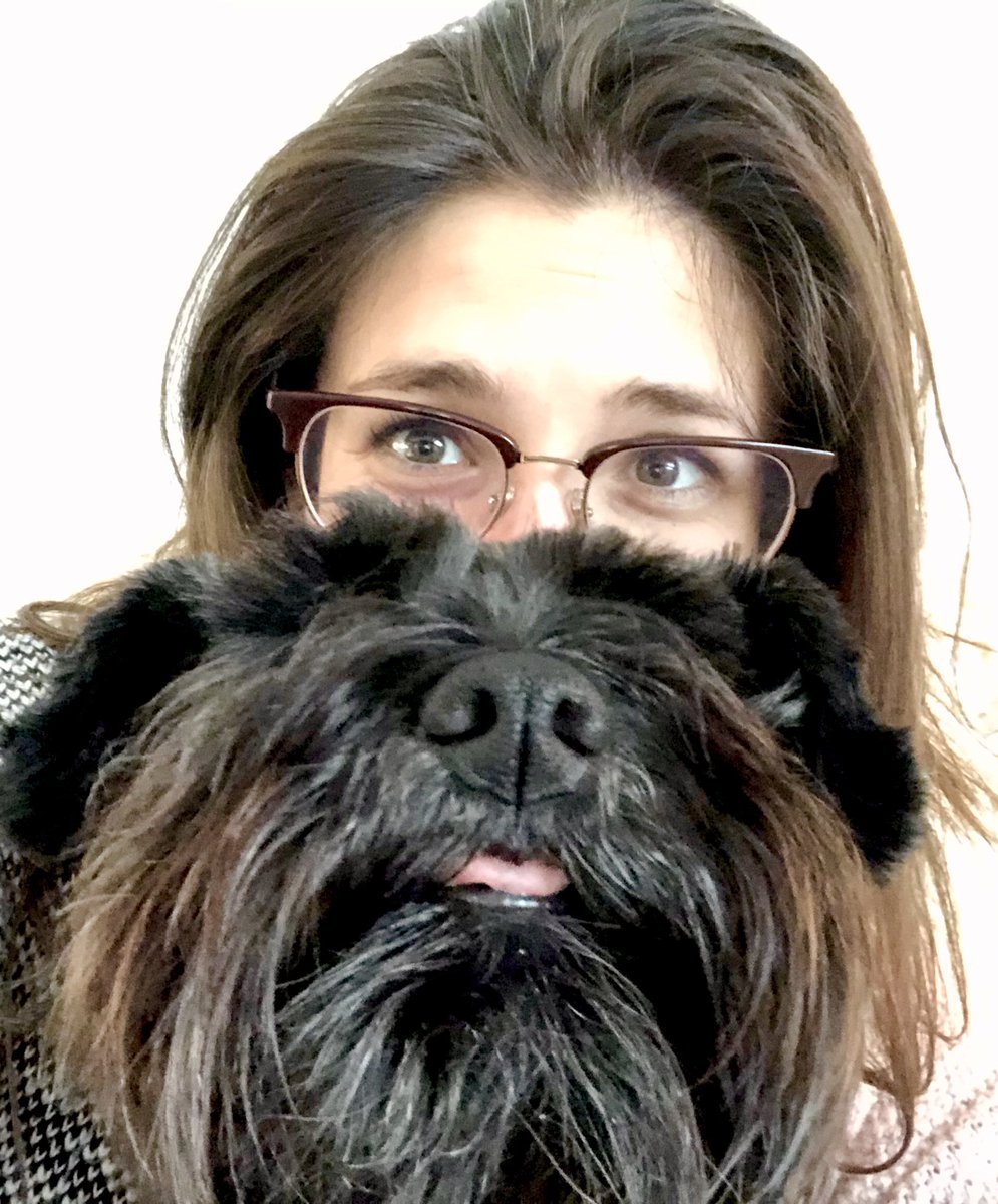 beardandbounce's tweet photo. When you photobomb your mum’s selfie...and this happens... #castaway #lockdown #schnauzer https://t.co/PZ3fNluCDD