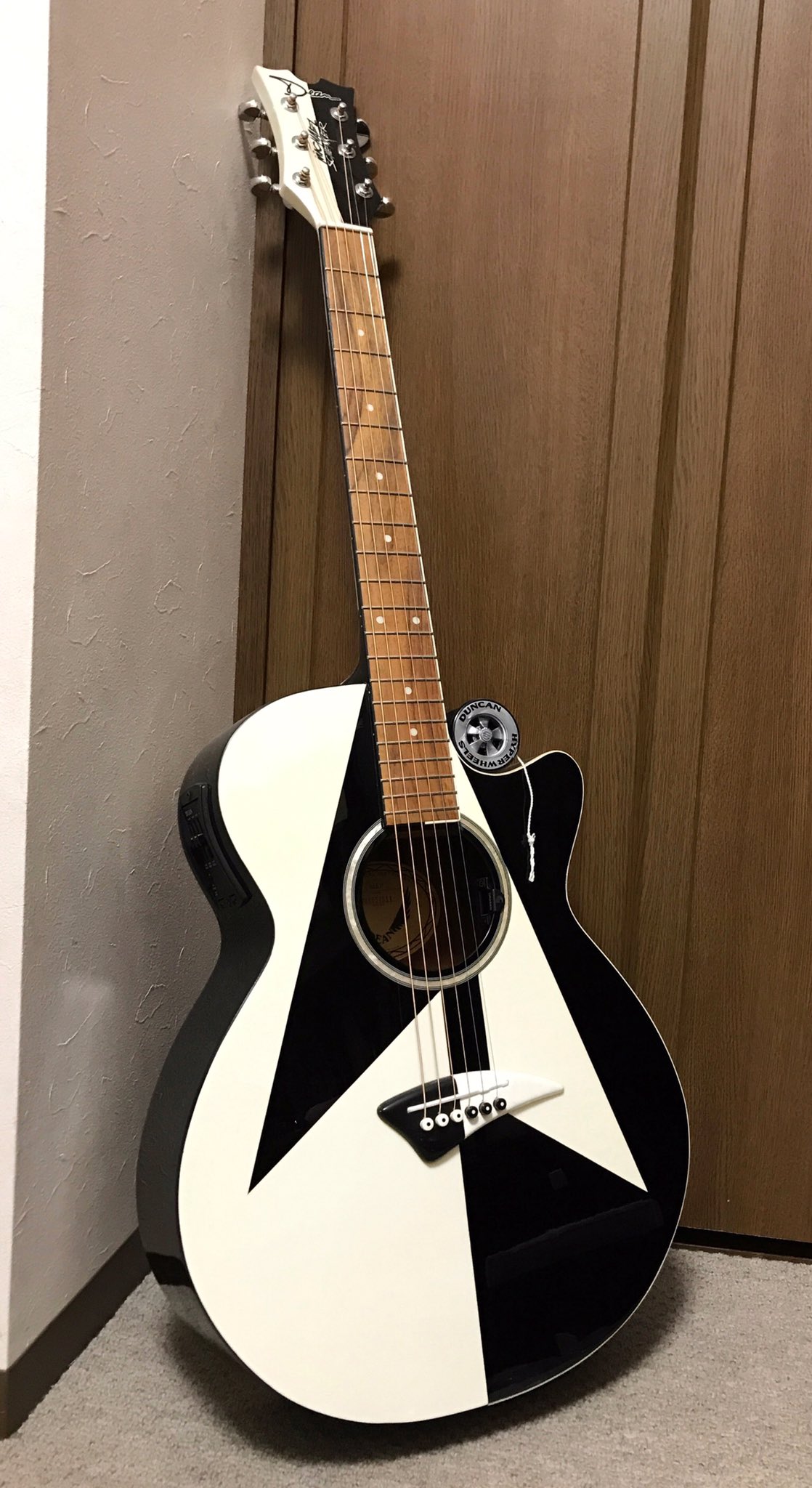 マイケルシェンカー アコースティックギター ディーン