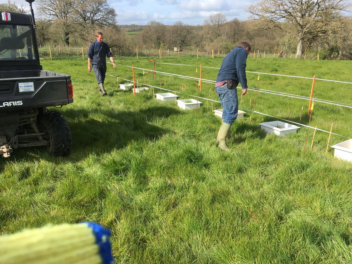 Alongside collecting material essential for the experiment, a lot of work was also required to install the plots where the measurements would be conducted. Electric fencing was put in place to prevent cattle from trampling the plots during grazing (which was largely successful)