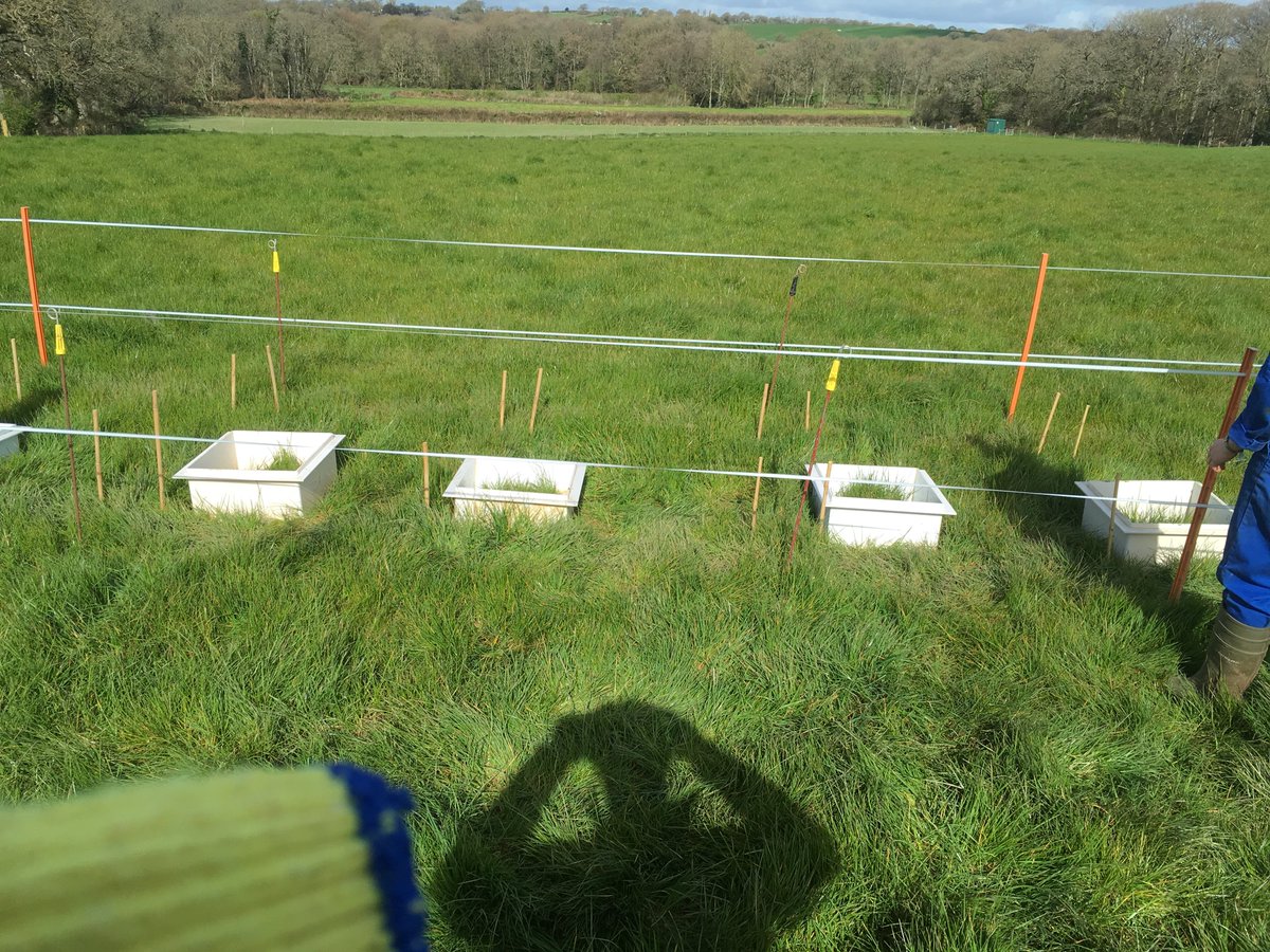 Alongside collecting material essential for the experiment, a lot of work was also required to install the plots where the measurements would be conducted. Electric fencing was put in place to prevent cattle from trampling the plots during grazing (which was largely successful)