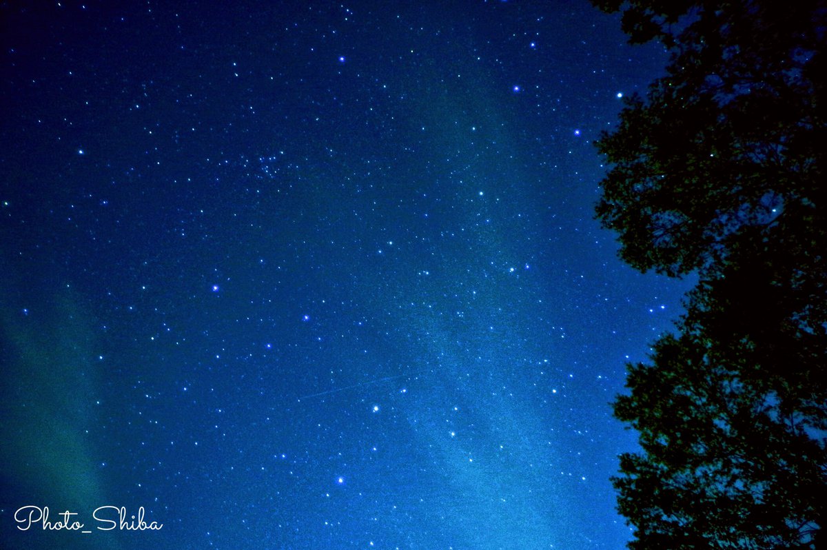 レグルス Twitter Search