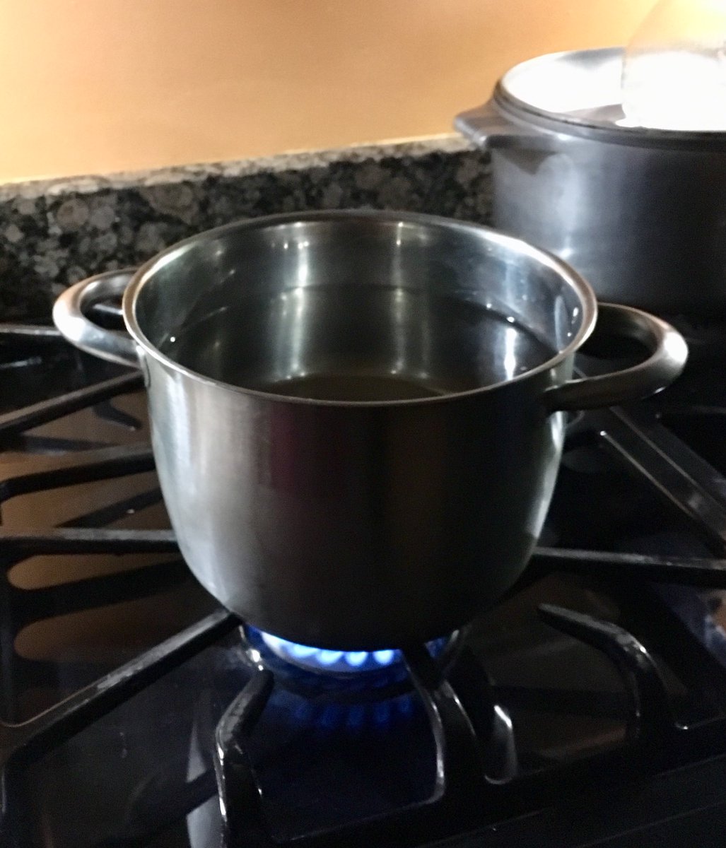 So, let’s start this rodeoI don’t need **60 servings** of coffee. (Tho 60 1969 servings = approx 25 now servings)Half will do on a writing day.So I’ll do a reduced, one-egg version.First, add 9 cups of water to a pot put it to boil. Covered helps. Anyone can do this. /16