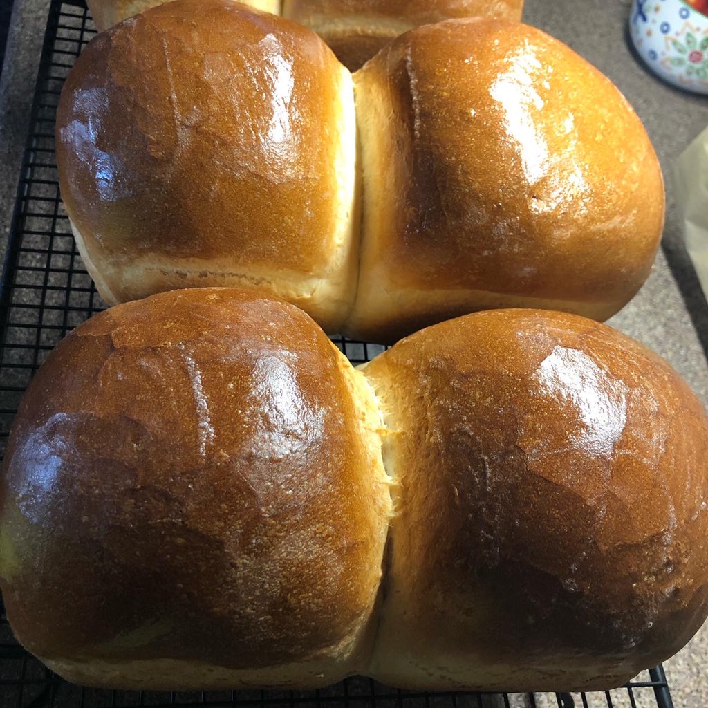 Make bread with me on Sunday, May 24 at 2 pm. I’ll teach you how. Live from my Facebook page Tunes and Wooden Spoons. <a href="/TunesWoodSpoons/">Tunes and Wooden Spoons</a> #robinhoodflour #breadmaking #capebreton