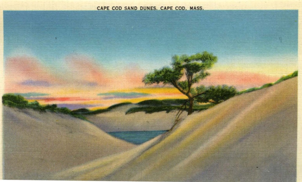 Dunes are big in Provincetown
#provincetown #ptown #oldcapecod #oldpostcard #capecod #capecodnationalseashore #outercape