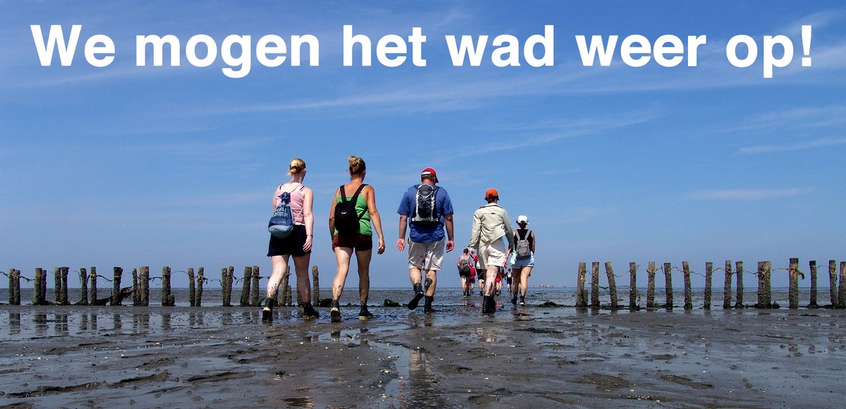 Wadlopen Pieterburen (@pieterburen) on Twitter photo 