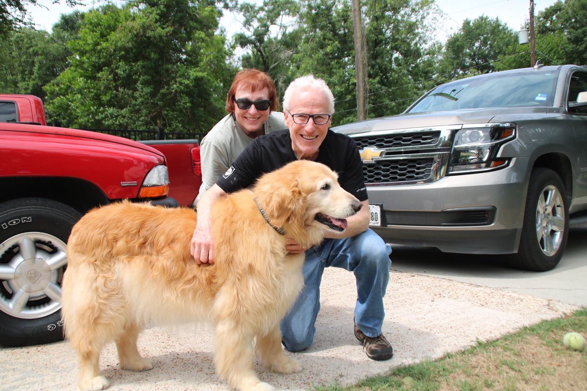 Happy trails to Tiger! He was adopted by the Nathan family this past weekend and will live out the rest of his golden time being spoiled as he should! Thank you for opening your heart to a senior. 💛 #goldenretriever #dogsoftwitter #AdoptDontShop