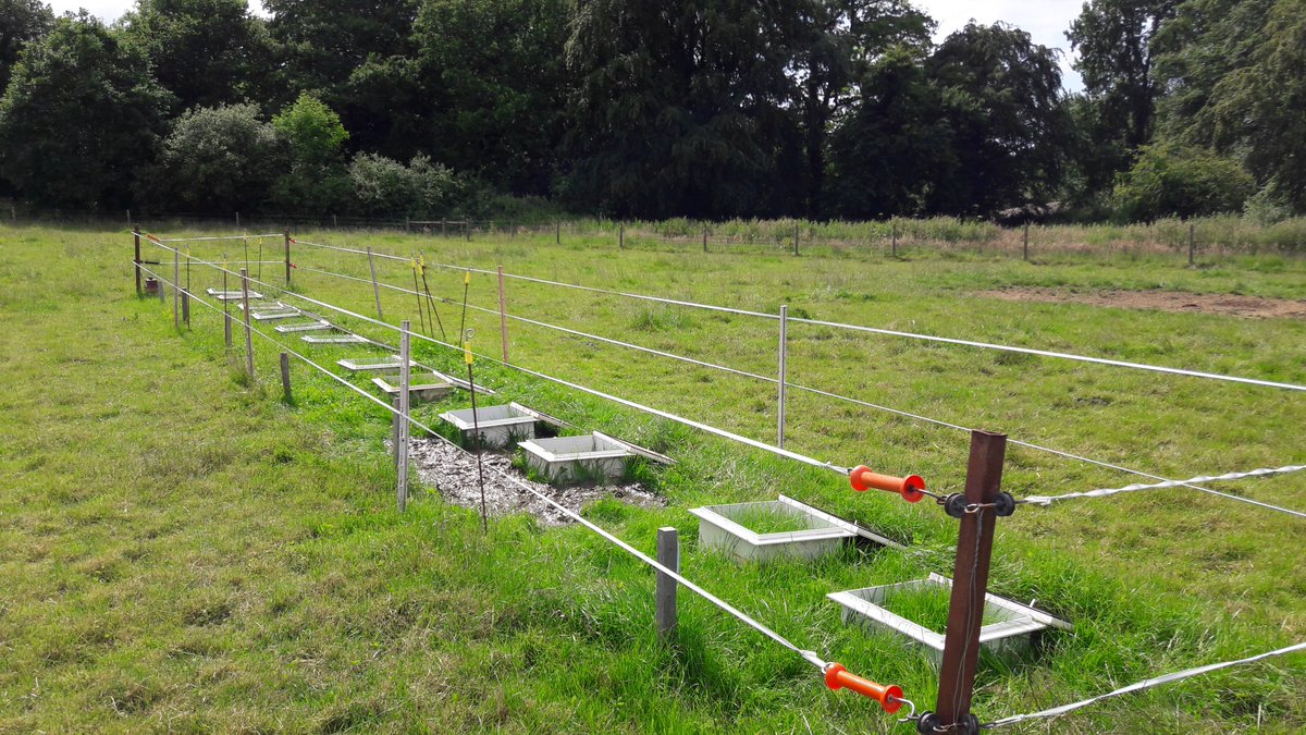 Once the plots were installed, we commenced measurements to get baseline nitrous oxide emissions. In June, we amended soils with urine, dung and nitrogen fertiliser on each of the plots on each of the farms (PP, WC and HS).