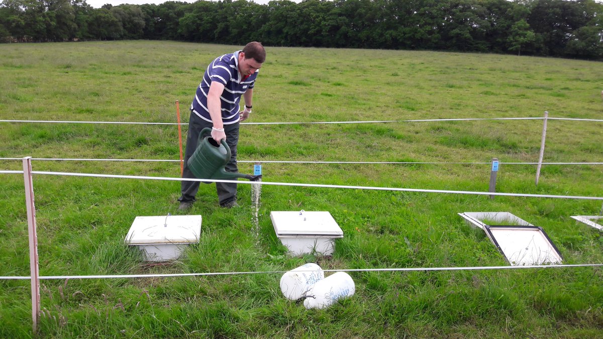 Once the plots were installed, we commenced measurements to get baseline nitrous oxide emissions. In June, we amended soils with urine, dung and nitrogen fertiliser on each of the plots on each of the farms (PP, WC and HS).