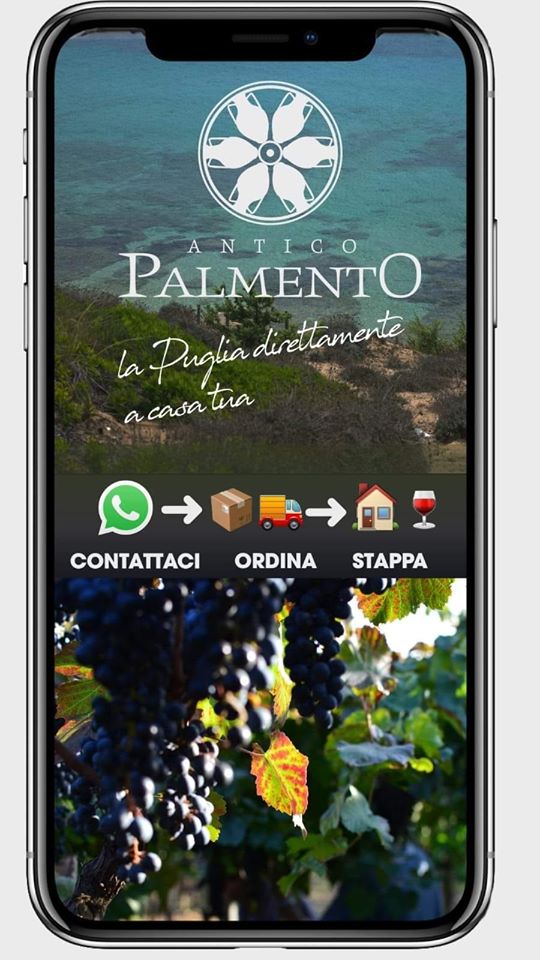In pochi semplici passaggi, il nostro vino a casa vostra!
Spedizioni in tutta Italia.
Contattateci al 3460148341...😉📲🏠🍷

#AnticoPalmentoGarofano #PrimitivoDiManduria
#SorsidEstate #RoseDelSud #ChiodiDiGarofano #AciniSpargoli #LaDolceVite #delivery #winedelivery
#iostappoacasa