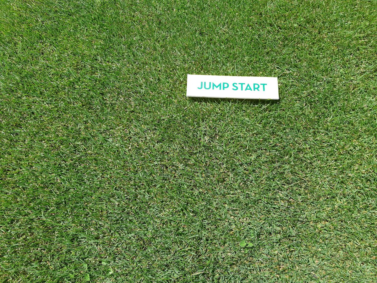 josepcirera's tweet image. Las variedades de #Poapratensis están impresionantes en los ensayos de @SemillasFitoTG.
#PRAFIN resistente a stress.
#JUMPSTART germina en 7 días. 
#NUGLADE tolera la sombra.
#RIGHT es excelente con salinidad.
#SPORTBLUE 100% #Poapratensis.
#Renovaciones, #Estadiosdeportivos.