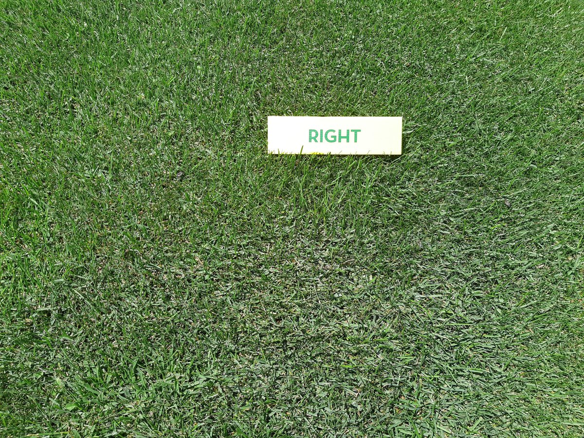 josepcirera's tweet image. Las variedades de #Poapratensis están impresionantes en los ensayos de @SemillasFitoTG.
#PRAFIN resistente a stress.
#JUMPSTART germina en 7 días. 
#NUGLADE tolera la sombra.
#RIGHT es excelente con salinidad.
#SPORTBLUE 100% #Poapratensis.
#Renovaciones, #Estadiosdeportivos.