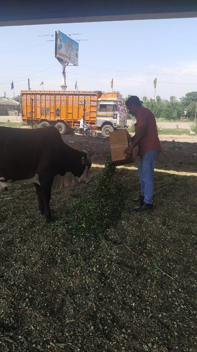 Bhartiya Gau Raksha Dal tweet media