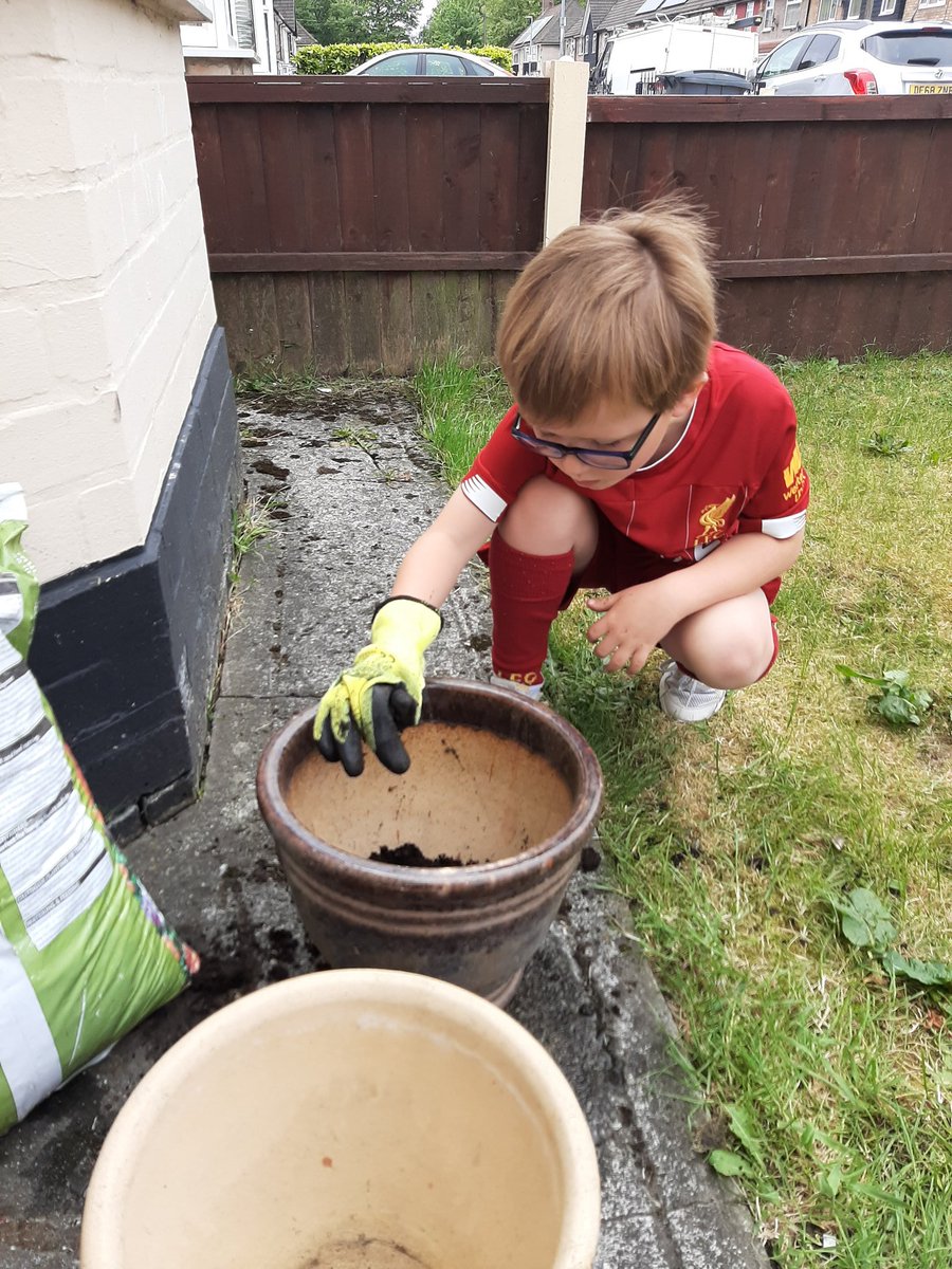 janiemc86's tweet photo. Planting our flowers and we spotted a bee 🌸🌺🏵🐝 @Y1StocktonWood @Y2stocktonwood  @stocktonwoodpr1 https://t.co/duJiMDXqyZ